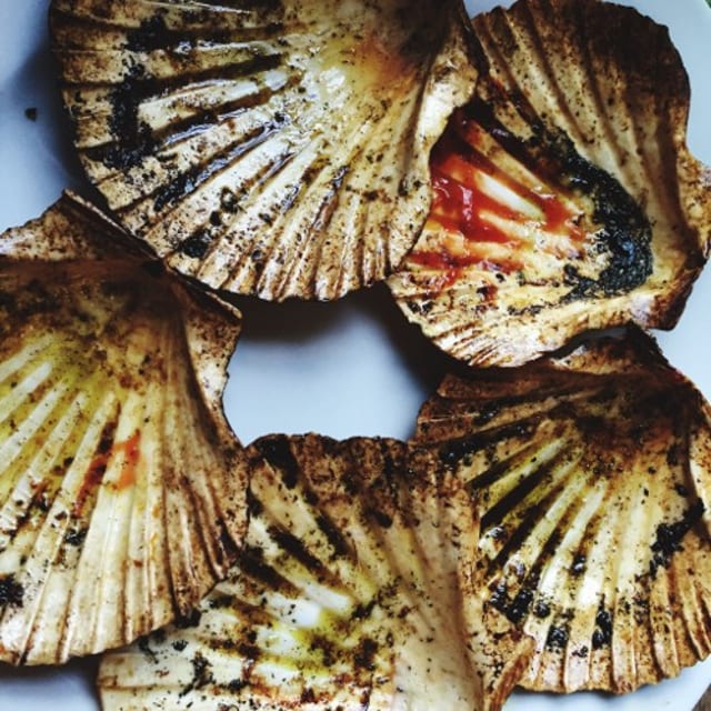 Whole Clams (Seasonal ONLY).